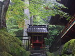 DSCF0706
