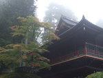 DSCF0712