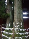 DSCF0724
