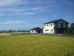DSCF0822
