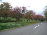 DSCF0974