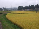 DSCF1034