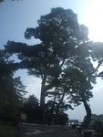 DSCF1285