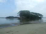 DSCF1302