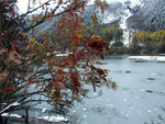 DSCF3571