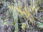 DSCF3740