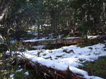 DSCF3810