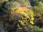 DSCF3835