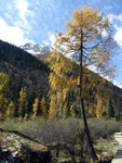 DSCF3931