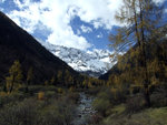 DSCF3954