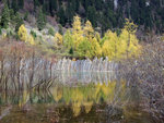 DSCF3981