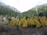 DSCF3984