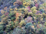DSCF4293