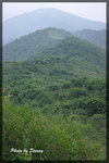 IMGP5764-1