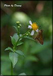 IMGP6494-1