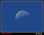 IMGP4877-1