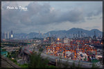 IMGP5516-1