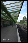 IMGP6627-1