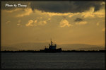 IMGP8702