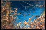 DPP_897