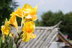DPP_3909