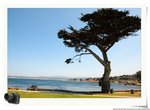 DSC_9287_nEO_IMG