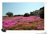 DSC_9289_nEO_IMG
