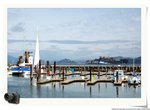 DSC_8520_nEO_IMG