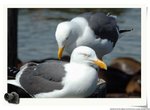 DSC_8537_nEO_IMG