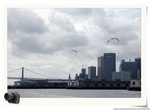 DSC_8641_nEO_IMG