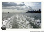 DSC_8647_nEO_IMG