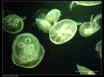 P7202324