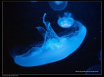 P7202333
