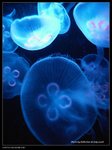 P7202340