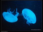 P7202342
