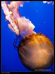 P7202376