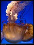 P7202380