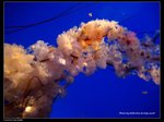 P7202387