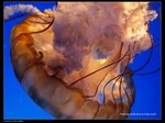 P7202388