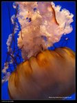P7202389