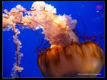 P7202393