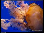 P7202397