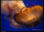 P7202403