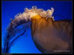 P7202414