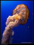 P7202417