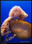P7202421