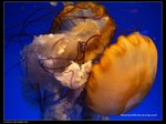 P7202440