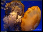 P7202441