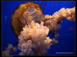 P7202448