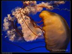 P7202453